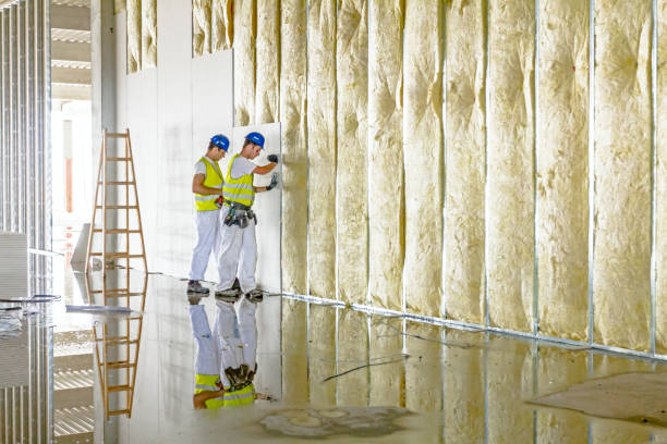 Best Commercial Insulation in Decorah, IA